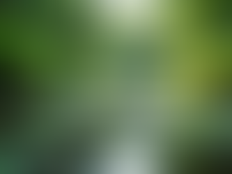 Maintaining Water Quality: Expert Tips for Pond Managers