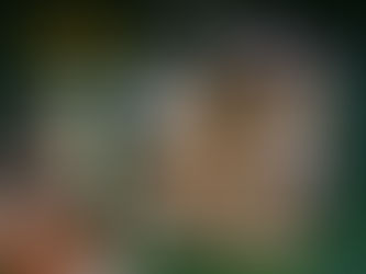 Bricklink Designer Program - Series 3 Finalists Announced