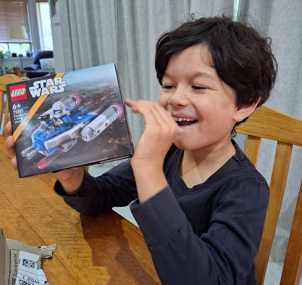 When my son discovered the surprise LEGO set we were to review together.
