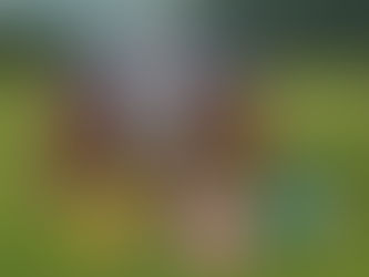 BrickLink Designer Program - Series 10 Finalists