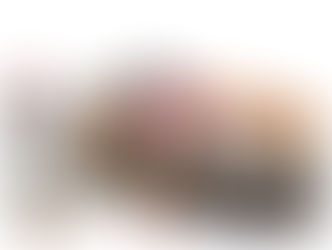 Series 9 BrickLink Designer Program Finalists Revealed