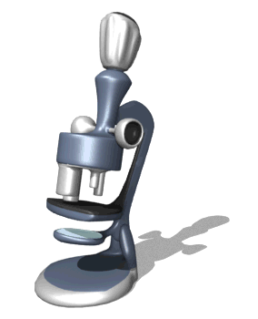 microscope_switching.gif