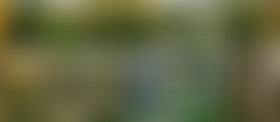 Wooden and metal gates with greenery in the background. A sign says Harwes Farm CIC Allotment