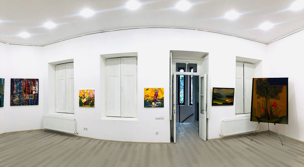bugadze gallery2.jpg