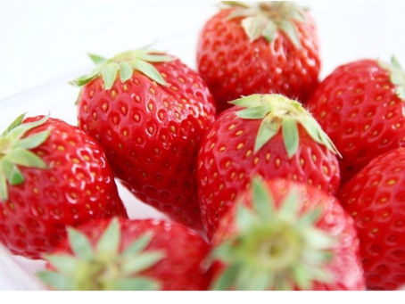 1月が旬のフルーツ