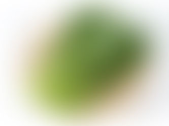 12月が旬の野菜