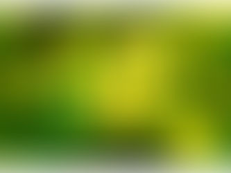 冬の食材と春野菜が食卓を華やかにしてくれる季節