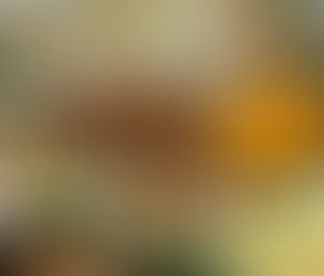 最近、家事代行サービスでは料理の依頼が人気傾向?