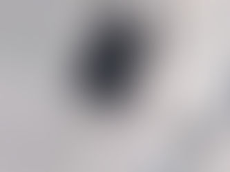 毎週来てもらっています