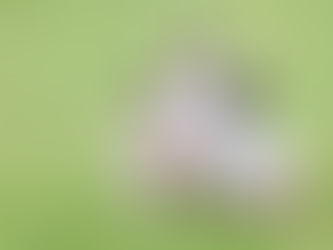 ワンオペのお父さんもご利用中です!