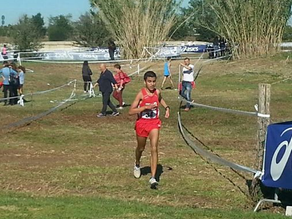 Ponte di Ogni... Corsa per gli atleti della Podistica Vasto
