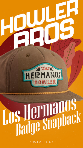 cinco de mayo story 7.png