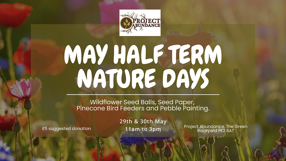 May Half Term Nature Days