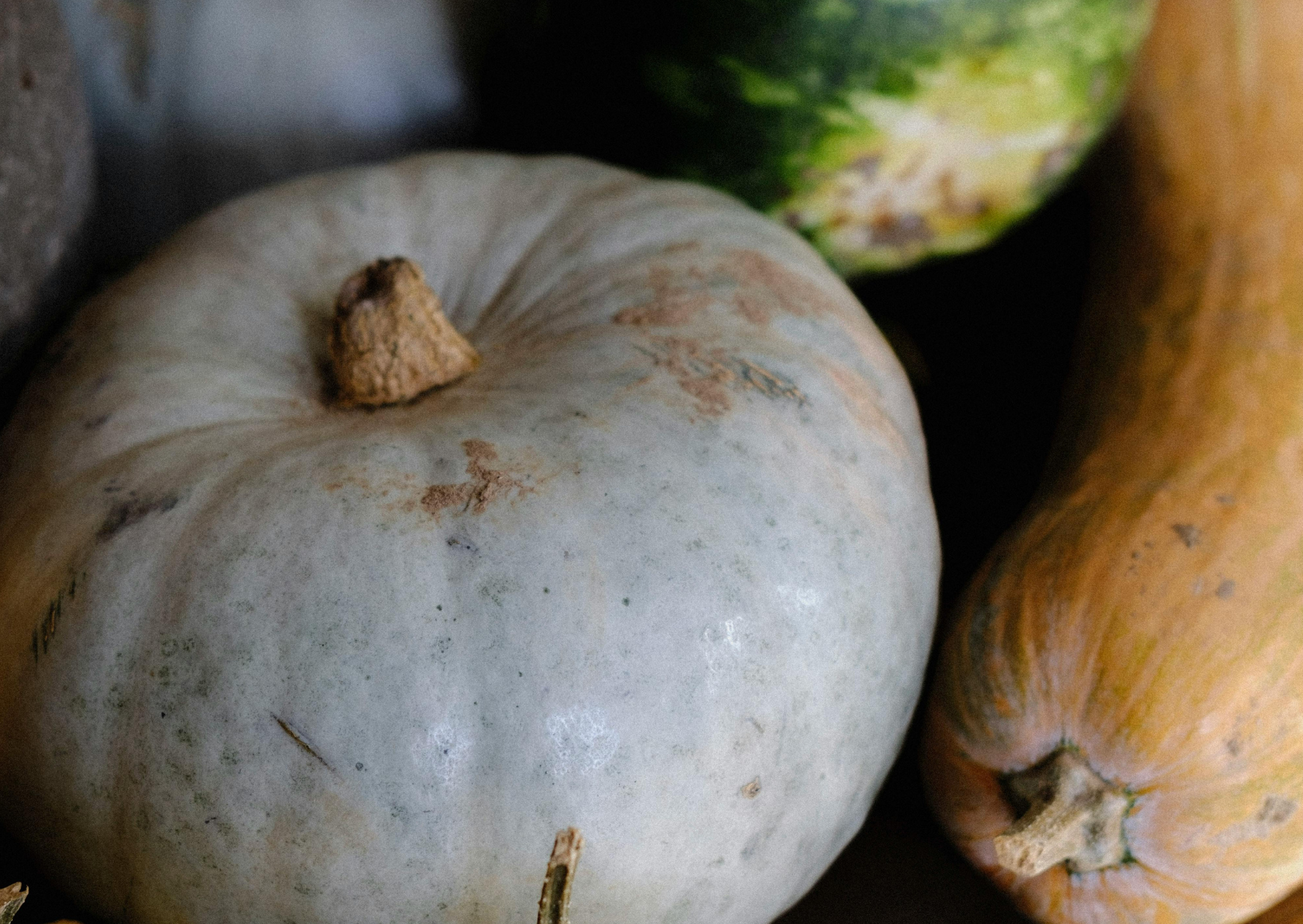 Pumpkin (Ghost) Seeds