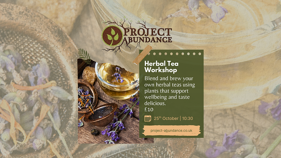 Herbal Tea Workshop