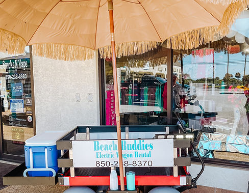 Beach Buddies Electric Wagons
