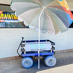 Electric Wagon
