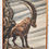 Miniatura: Vintage Painting of Mountain Ibex Goat Framed