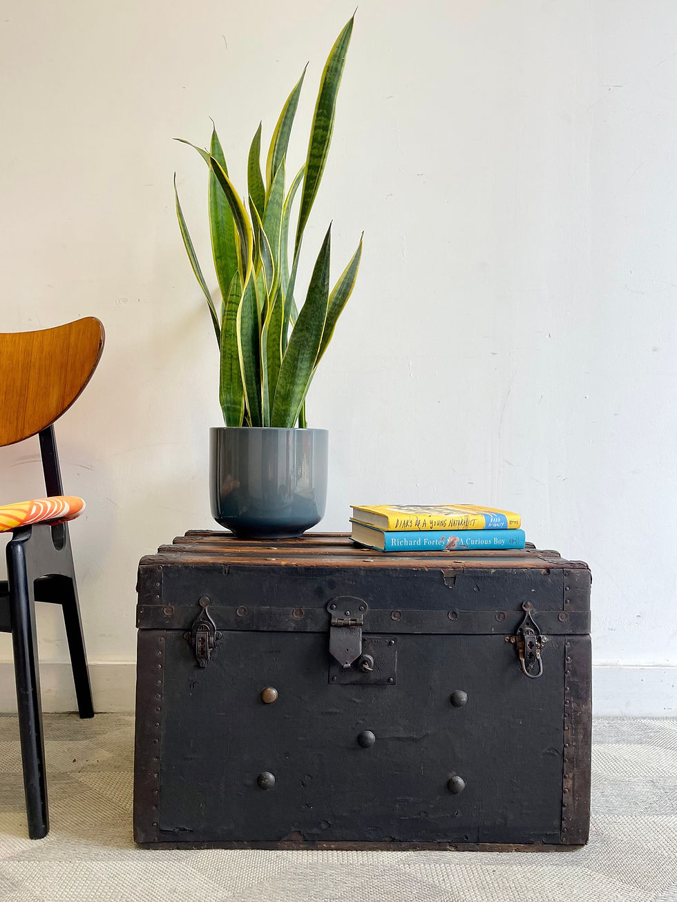 Miniatura: Antique Black Wooden Trunk Chest style