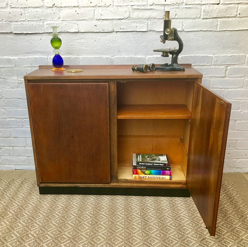 VINTAGE SCHOOL CABINET 50s