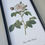 Miniature : PAIR ORIGINAL VINTAGE FLORAL PRINTS 1970's ca