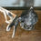 Miniature : Vintage Wall Light Lantern Outdoor #542