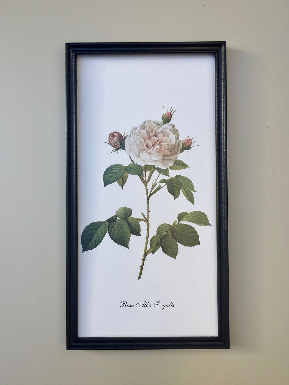 Miniature : PAIR ORIGINAL VINTAGE FLORAL PRINTS 1970's ca