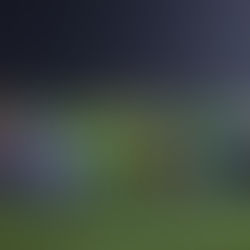 Les Lionceaux du Sénégal sacrés champions du tournoi UFOA/A U17 2025