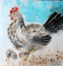 Mère_poule_