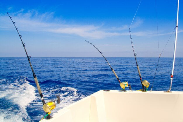 boat-fishing-trolling-deep-blue-sea_79295-19842.jpg