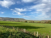 IMG_3961.jpeg