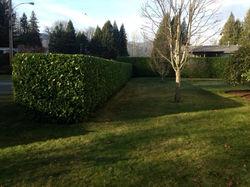 photo+30.JPG 2014-3-24-19:44:36