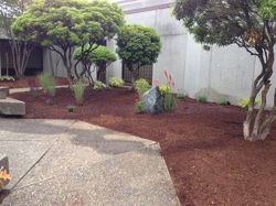 photo+15.JPG 2014-3-24-19:45:23