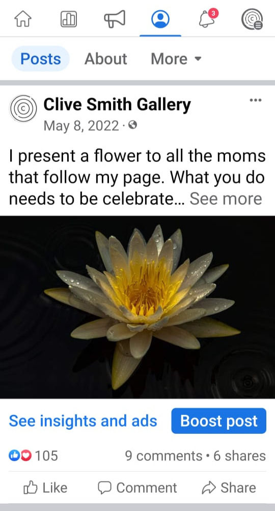 lilly clive smith photography