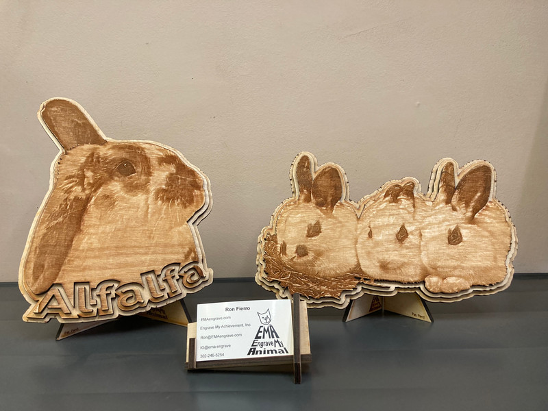 Home | Southeastern PA DE House Rabbit Society