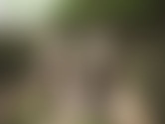 GIOVE NEL BALLETTO DI SESTILE A SATURNO