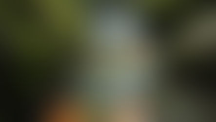 IL SOLE IN TORO: RADICARE LA VITA, ASSAPORARE IL VIAGGIO