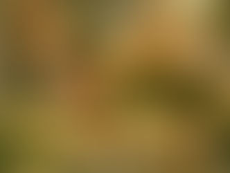 MERCURIO IN GEMELLI IN TRIGONO A PLUTONE RETROGRADO