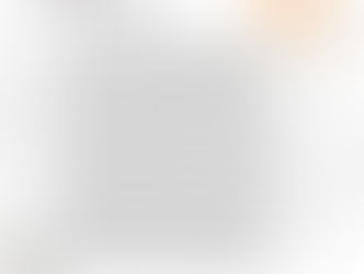 Recensione Silvia S.