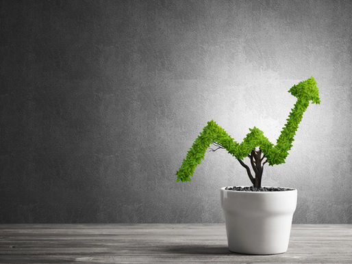 10 Vital Actions to Optimize Your Business for Maximum Value