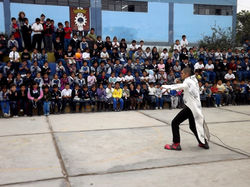 Festicirco, Peru