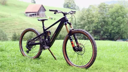 ROGUE-TESTER VERLIEBT SICH