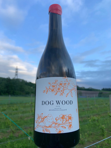 DOG WOOD 2023 750ml | Akasakavineyard