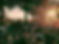 filter-drauf-wein-gut-wald.jpg