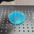 Gloved hands handle a petri dish with blue liquid on a perforated metal surface. Another hand holds the dish lid nearby.