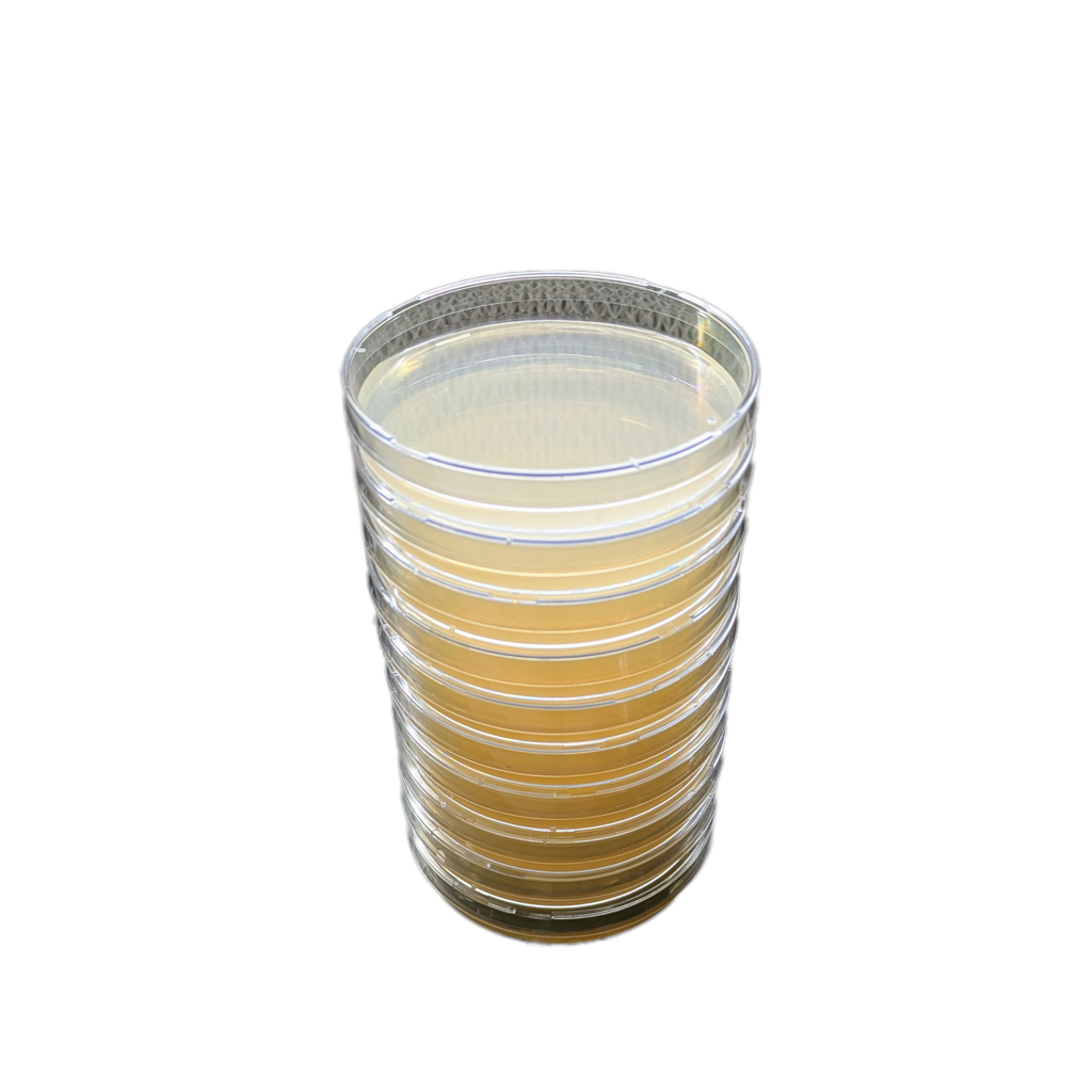 stack of 10 petri dishes with tan colored agar