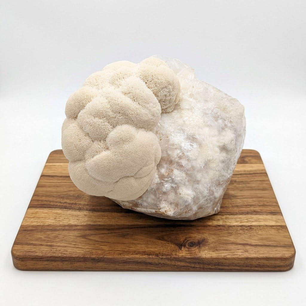 flush of lion's mane looking like clouds coming from a grow kit on a wooden cutting board