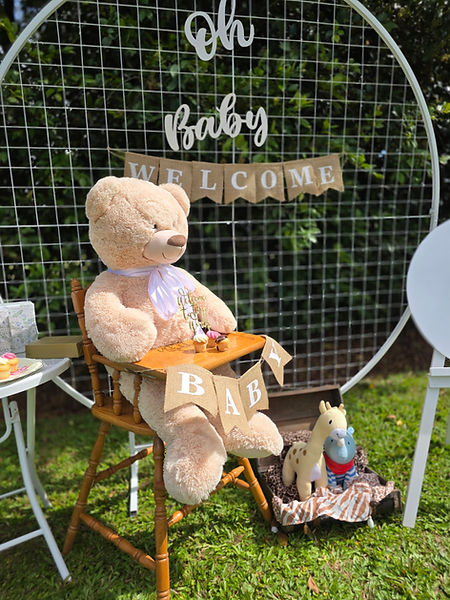baby-shower-gender-reveal-innisfail