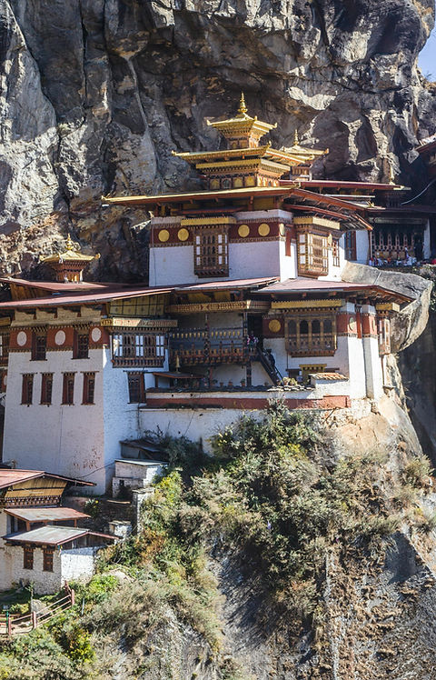 Tiger Nest 1.jpeg
