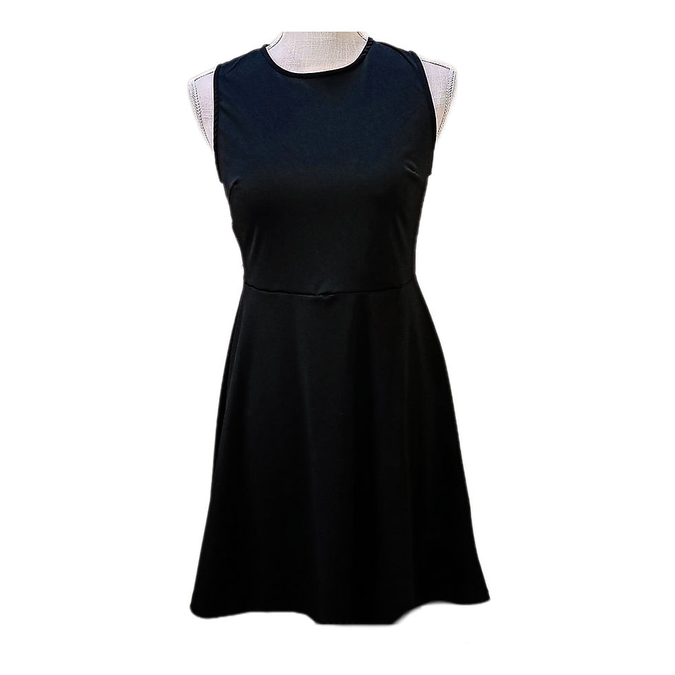 Blorica Lace Back Skater Dress